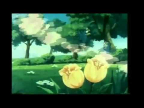 DJ IBUSAL x LOBO - MT. EVEREST (CA$$ETTE)