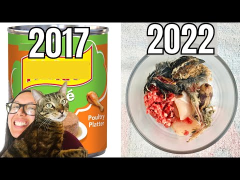 Friskies wet food to raw Jericho's story