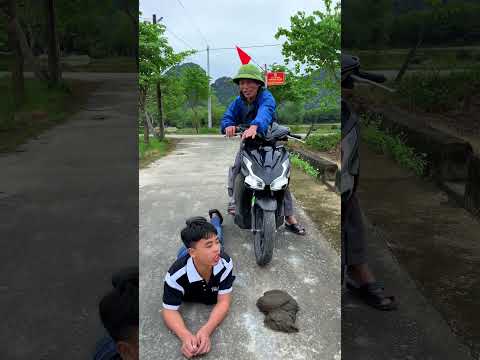 Bạn Thân Thông Minh Chỉ Xe Đi Qua Dễ Dàng