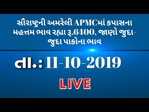 ગુજરાતની બધી જ APMCના તા.11-10-2019 દરેક પાકના ભાવ LIVE । TV9 Dhartiputra