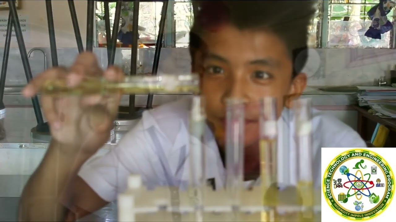 DYC Science, Technology and Engineering Program