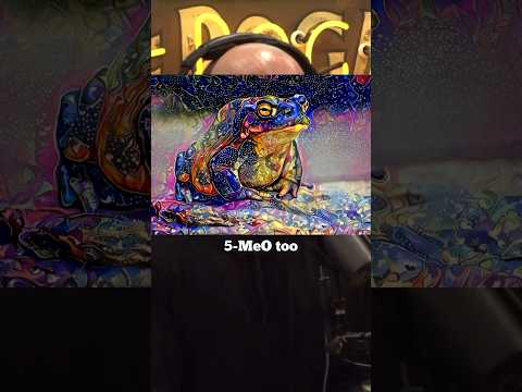 Joe Rogan’s First 5-MeO-DMT Experience #joerogan #shorts