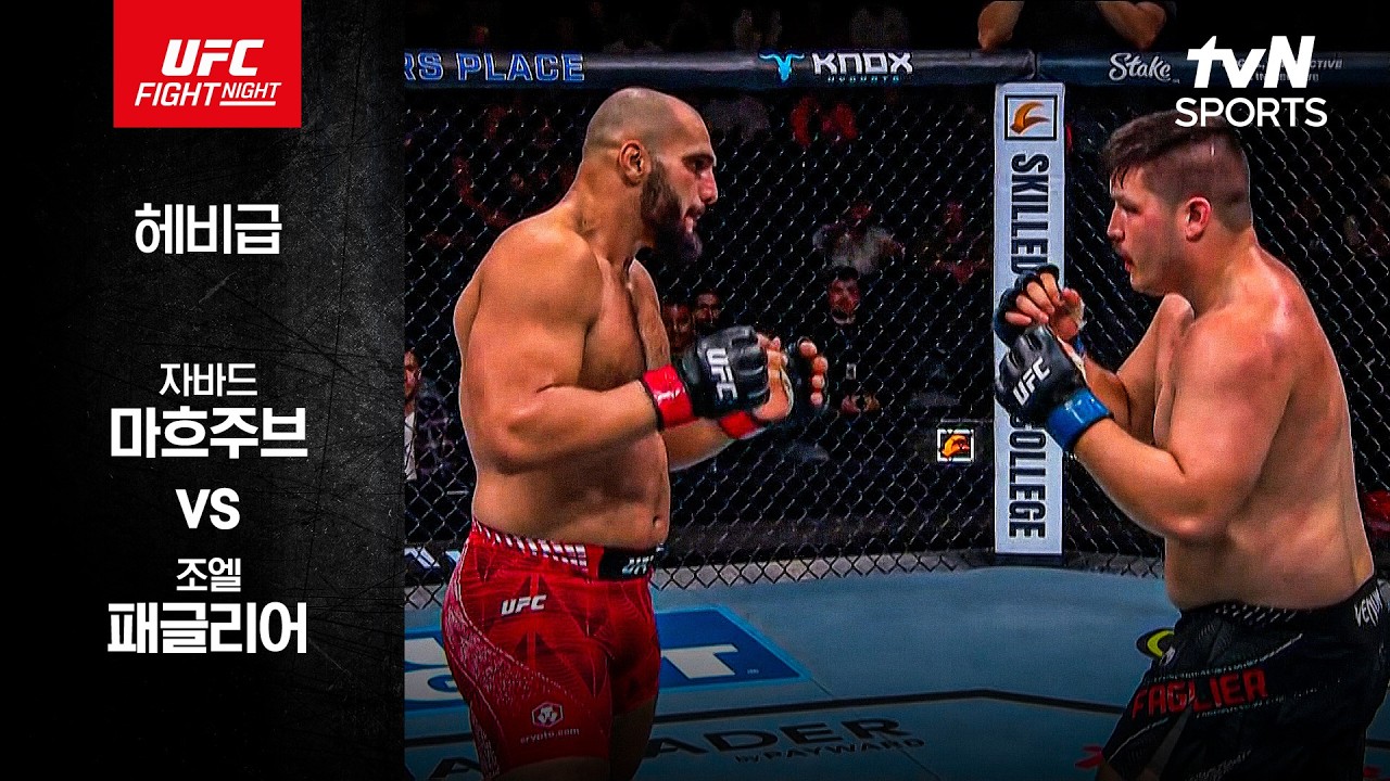 [UFC] 자바드 마흐주브 vs 조엘 패글리어