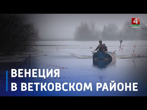 Службы выратавання Гомельшчыны аказваюць дапамогу жыхарам падтопленых вёсак видео