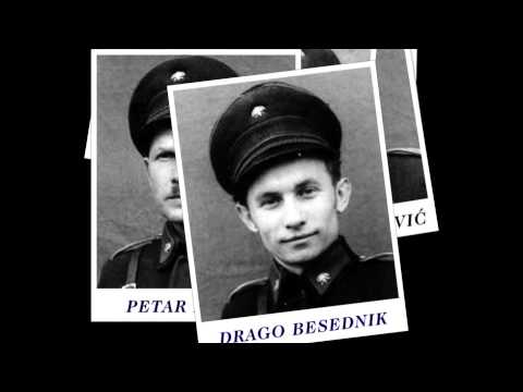 DVD CERNA 60 GODINA-BEŠLIĆ video