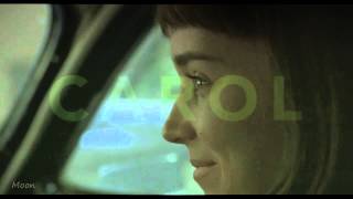 CAROL (The Price of Salt) Chapter 14 - Patricia Highsmith (Audiobook/Unabridged)