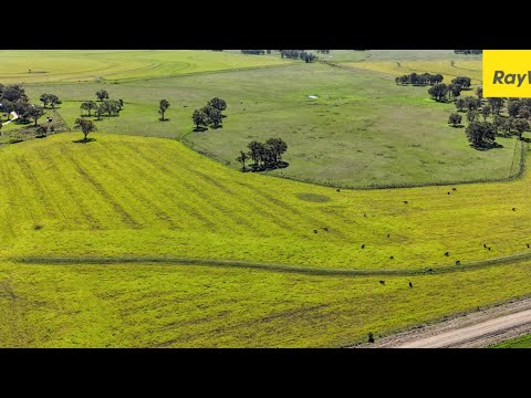 231 Middletons Lane, Inverell, NSW 2360, 0 ਕਮਰੇ, 0 ਬਾਥਰੂਮ, Lifestyle Property