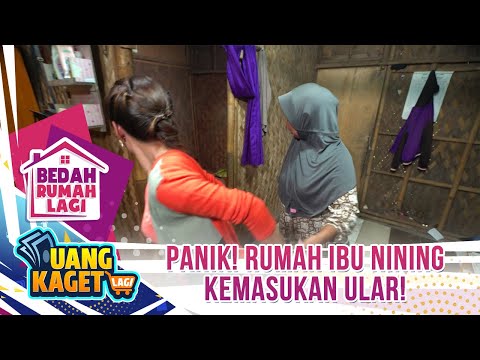 Panik! Rumah Ibu Nining Kemasukan Ular! - Kilau Uang Kaget & Bedah Rumah