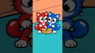 Two Cats, One Tiny Box 📦 | Funny Cat Animation | Rumo & Rero