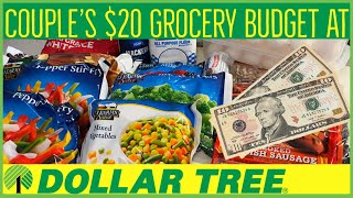 $20 Dollar Tree Grocery Budget for 2 | Couple's Extreme Budget Meal Plan | Emergency Grocery Haul