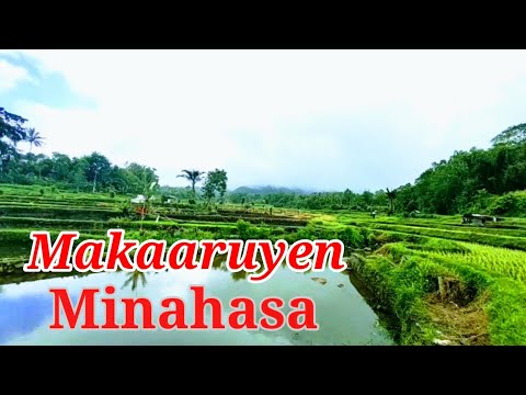 Oh Ina Saaku Liniur Numo - Makaaruyen Minahasa