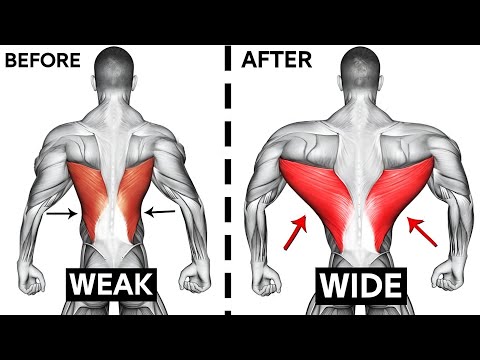 The Most Underrated Routine Ever Back Day Without Weights