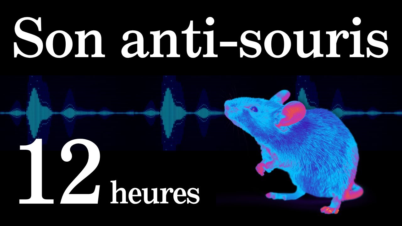 Son anti-souris | Éloignez les souris toute la nuit | 12 Heures