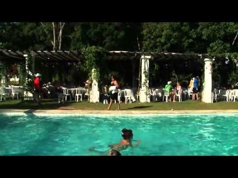 Divisao de Lucro Forever 2010 no Brasil