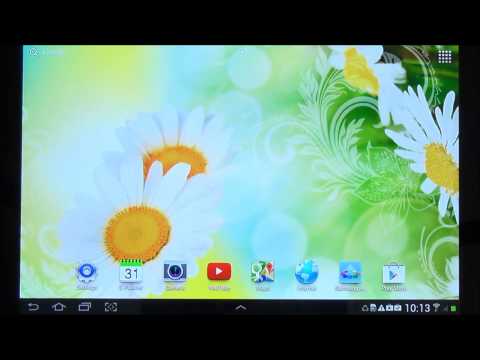 Daisies Live Wallpaper Video