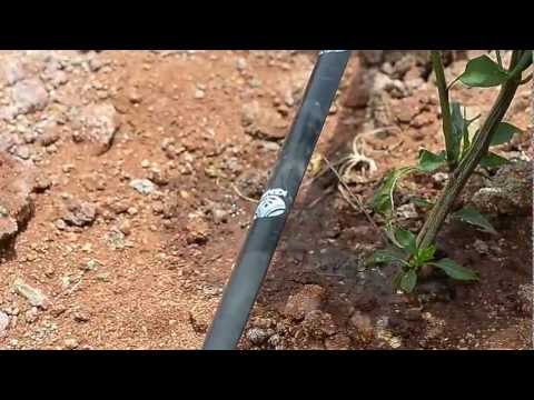 9 Lph Drip Irrigation Tape