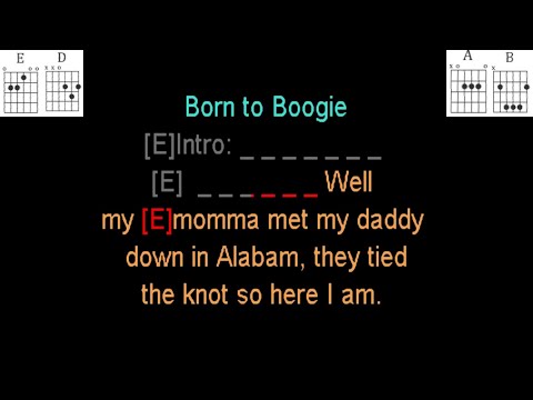 Born To Boogie - Hank Williams Jr