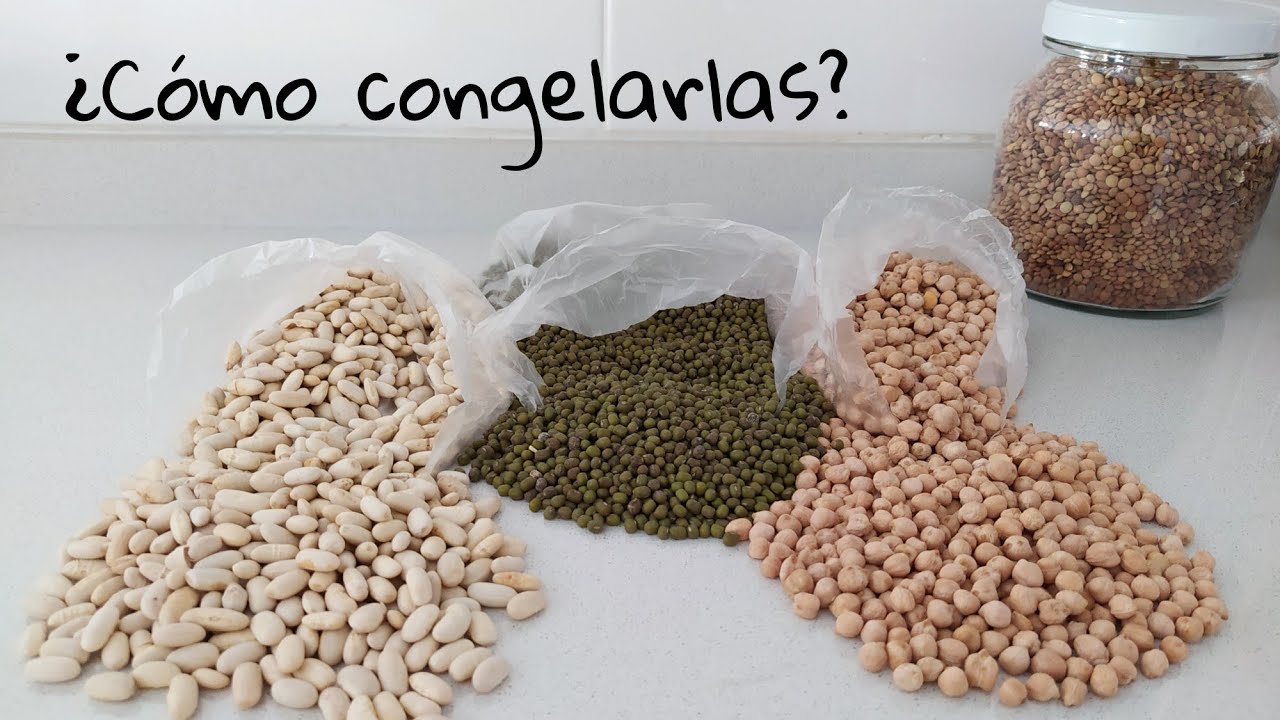 ¿CÓMO CONGELAR LEGUMBRES (Lentejas, Porotos, Garbanzos, Etc.) | Recetas Vegetarian