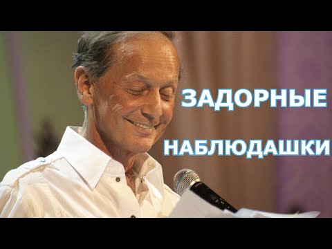Михаил Задорнов - Задорные наблюдашки