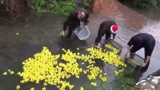 preview picture of video 'Banwell Scout Group Annual Duck Race 2014'