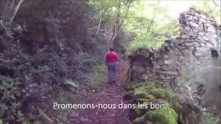 preview picture of video 'Randonnées vers les mines du Val-d'Azun: mine d'Estaing'
