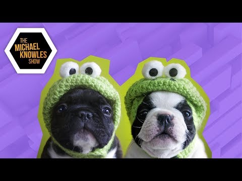 Ep. 191 - Silly Season | The Michael Knowles Show