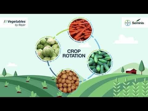 Crop Rotation