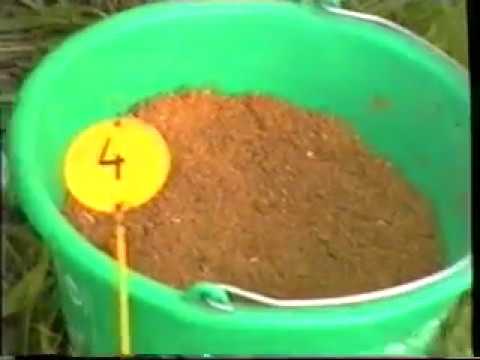 Mistrzostwa Koła Racibórz Miasto nr 45 kat  Juniorów.