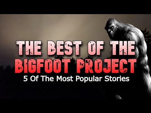 THE BEST OF THE BIGFOOT PROJECT! 5 Of The Most Popular Stories