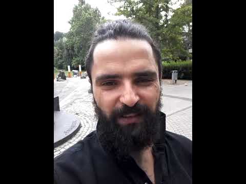 Ginkgo - ein heiliger Baum