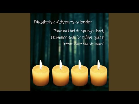 Vær velkommen, Herrens år