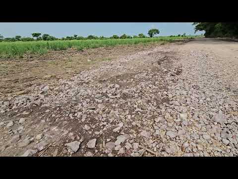 img-video