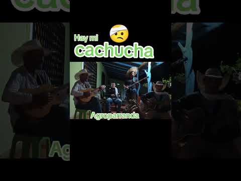 AGROPARRANDA // HAY MI CACHUCHA //@juancarlosmendivelso345
