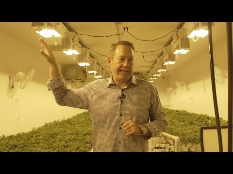 The high school teacher became a cannabis CEO