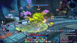 오르카(상급) 1넴 사제시점