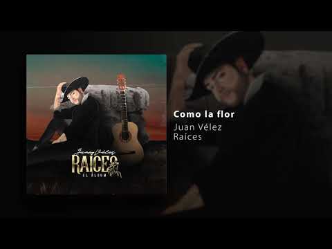 Juan Vélez - como la flor (Album Raices  - audio oficial)