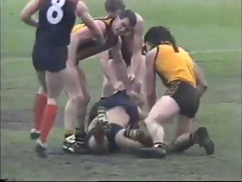 1988 VFL Grand final Highlights HAWTHORN v MELBOURNE