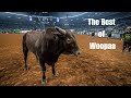 The Best Of Woopaa