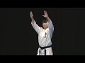 Shinkyokushin Kata Kanku Dai 新極真会型観空大