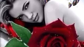 Es Difícil Decir Adiós.   Grupo Ladrón