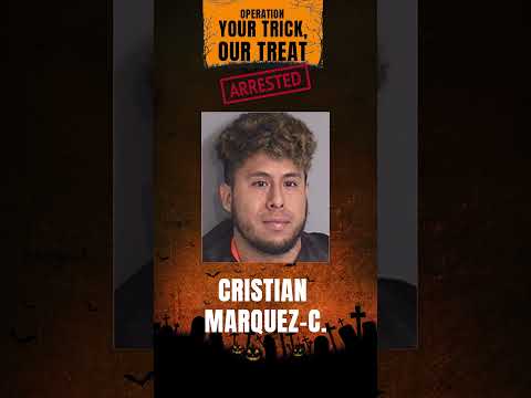 Osceola Mugshots