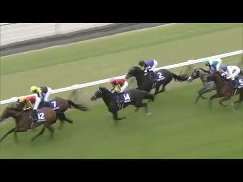 2020.05.03 Tenno Sho (Spring)(JPN) - Fierement