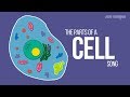 THE PARTS OF A CELL SONG | Science Music Video