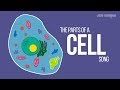 THE PARTS OF A CELL SONG Science Music Video