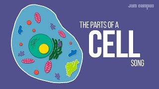 THE PARTS OF A CELL SONG  Science Music Video