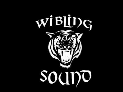 aka-dRini ich bin der beste.wmv