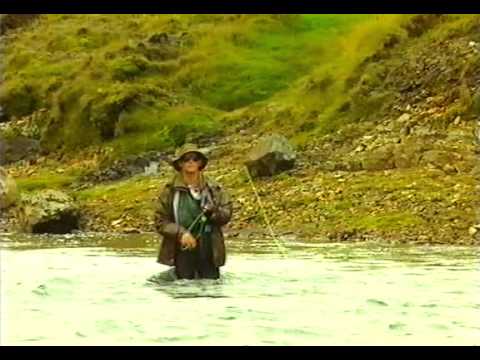 Sporðaköst - Víðidalsá