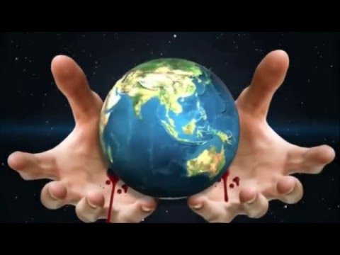 Procissão Da Bíblia - Irmã Míria T. Kolling