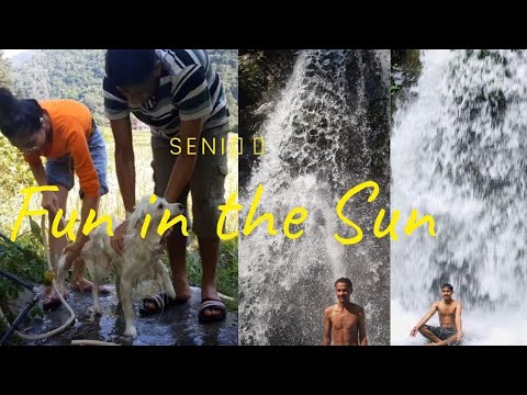 Seni🐶🐕 ko nuwai dhuwai ra hamro poudi🤗