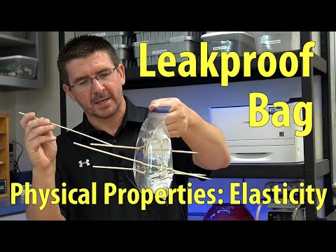 Activity 5.1.3.A - Leakproof Bag